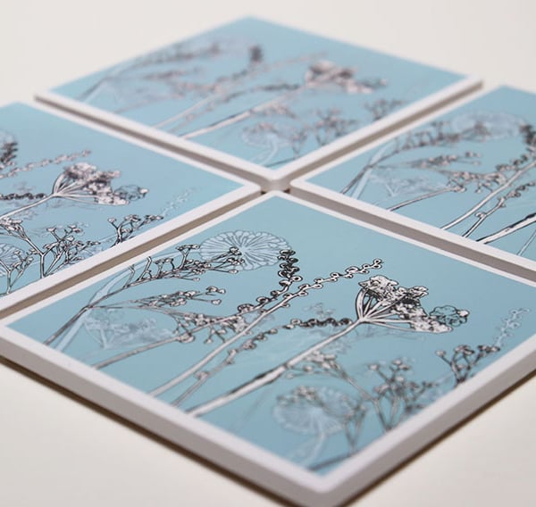 set of four ceramic sandstone coasters featuring cow parsley and seedheads