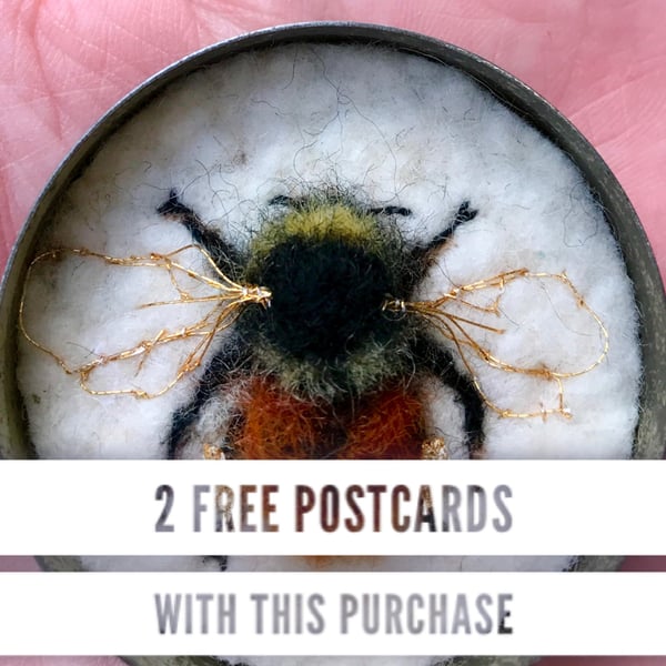 Special Offer Book and Postcard collection from the Fifty Bees exhibition