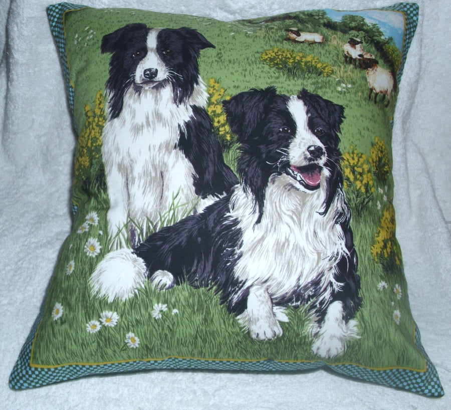 Border Collie sheepdogs in a field with sheep cushion