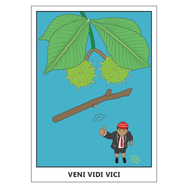 Veni Vidi Vici Postcard