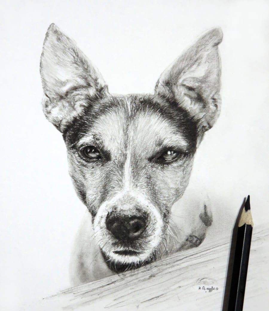 Custom pet pencil drawing portrait from your own photo