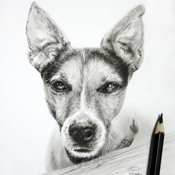 Custom pet pencil drawing portrait from your own photo