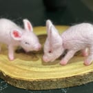 wool felted piglet