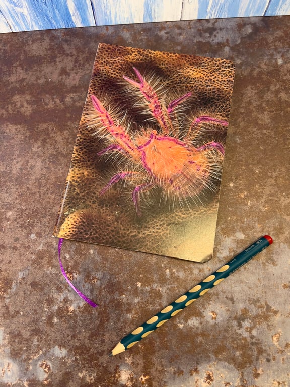 Notebook, Marine themed, A5 (ish), made from up-cycled and recycled materials.