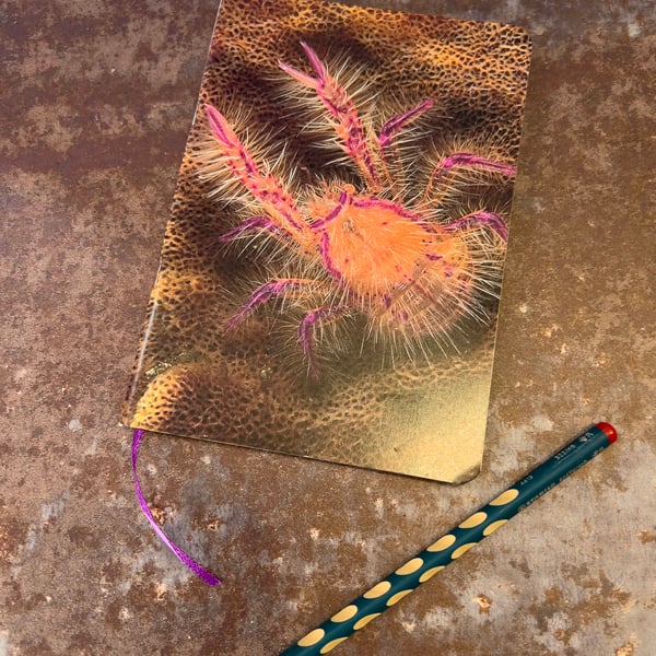 Notebook, Marine themed, A5 (ish), made from up-cycled and recycled materials.