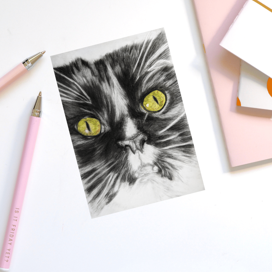 Birthday card, greeting card, cat, black and white Maine Coon, tuxedo cat 