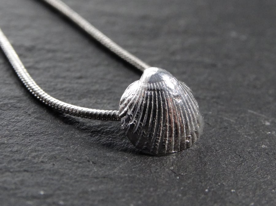 Small, sterling silver, cast cockle shell. Cornwall