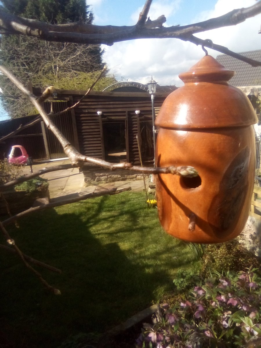 Insect box, in the shape of a bird box. 