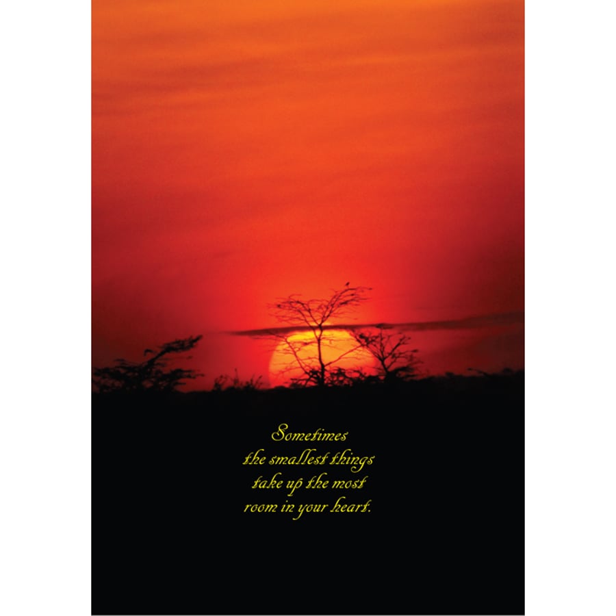 MAARA SUNSET POSTER - 6