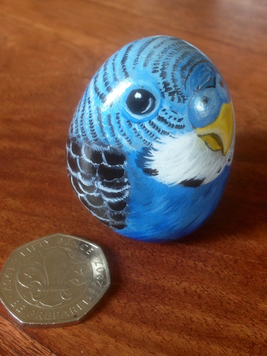 Pet budgie hand painted on rock