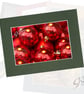 CJ234 - Baubles - Image 1