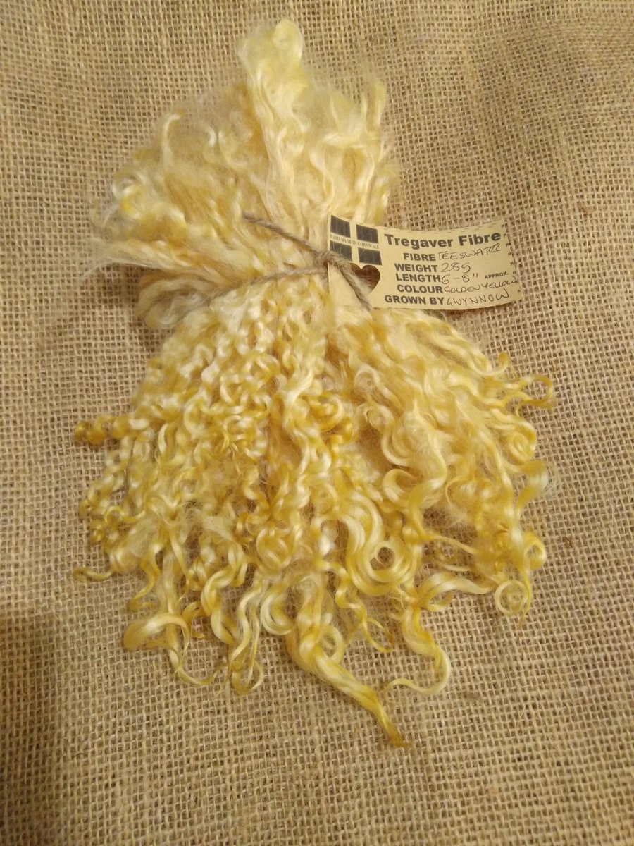 Golden yellow curly wool teeswater locks, 28g bunch, felting wool, doll hair