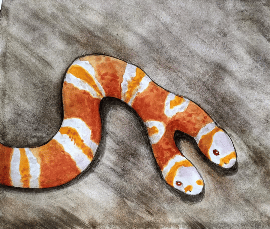 Two headed corn snake painting