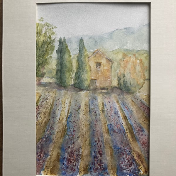 Seconds Sunday, watercolour of lavender fields. 