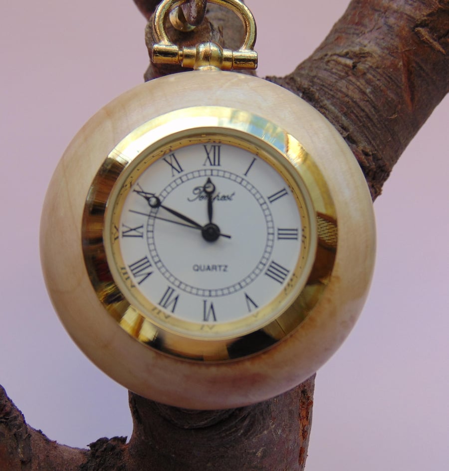 Horse Chestnut Pocket Watch (23)