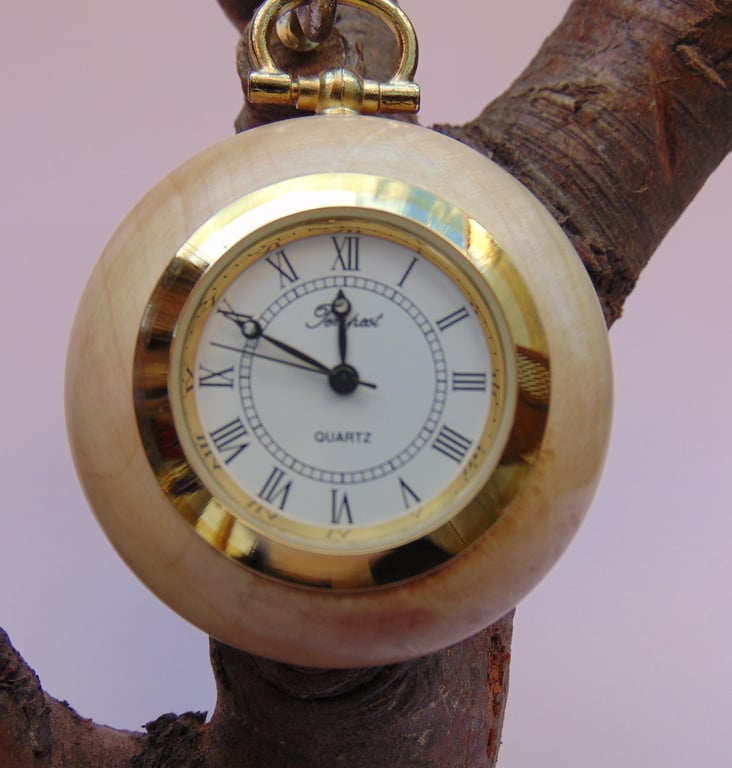 Horse Chestnut Pocket Watch (23)