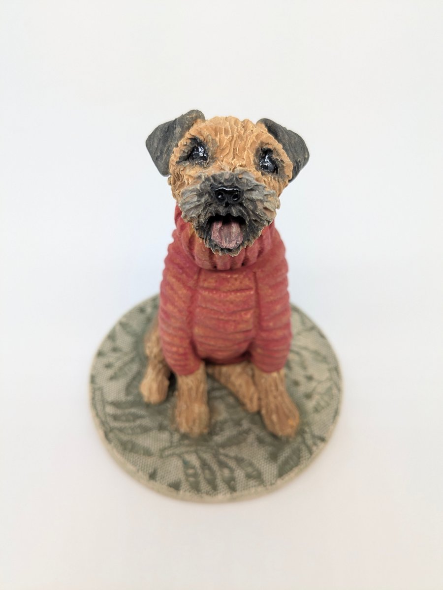 Border Terrier in Red Woolly Jumper
