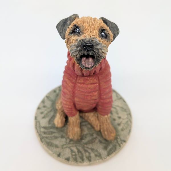 Border Terrier in Red Woolly Jumper