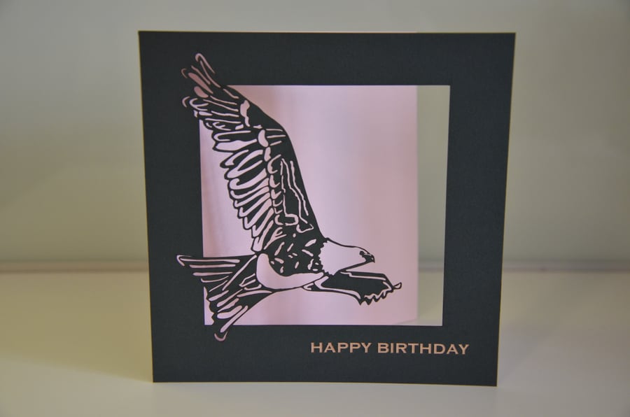 Red kite birthday card