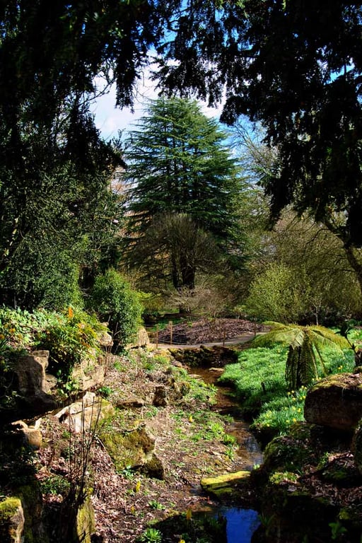 Batsford Arboretum Cotswolds Moreton In Marsh Photograph Print