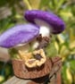 Needle felt mushrooms, Fibre art, Textile art - Image 5