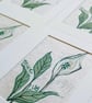 'Peace Lily' Reduction Linocut Print - Image 3