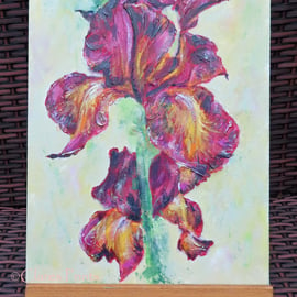 Bearded Irises Art Original Acrylic Painting on Canvas OOAK Flower