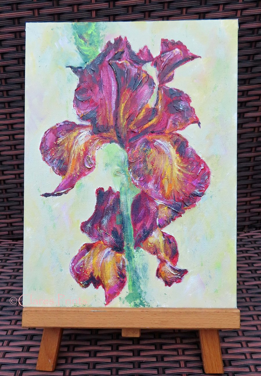 Bearded Irises Art Original Acrylic Painting on Canvas OOAK Flower