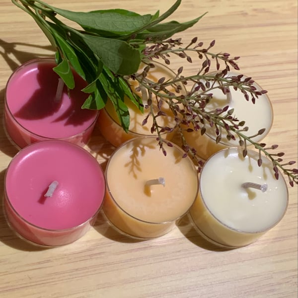 12 Seasonal Tealight Collection Woody and Spice 