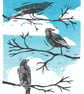 Three crows in conversation - Image 1