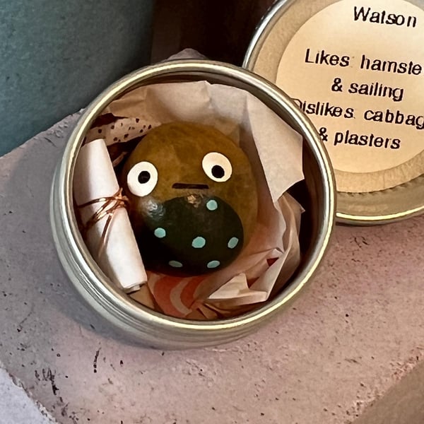 Womzel Worry-Not pocket pebble pals for use as a comfort aid or SEN