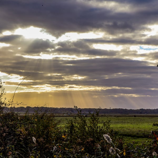Norfolk Countryside Photography – Rural Cards & Mounted Prints