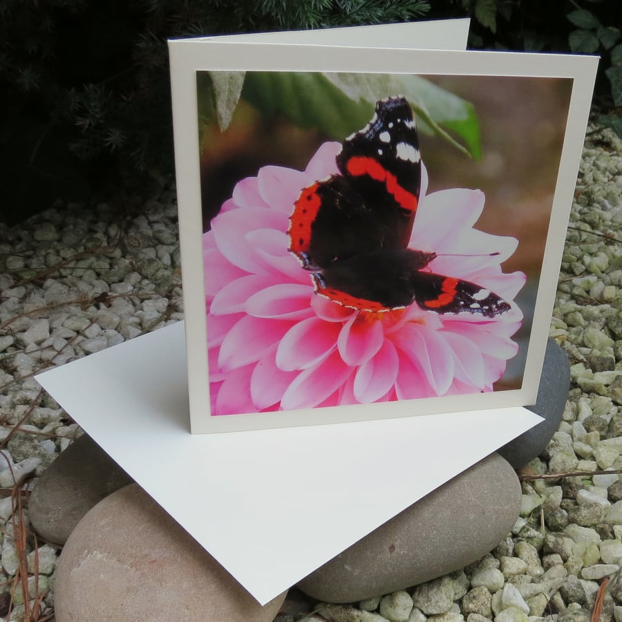 Dahlia.. A card featuring an original photograph.  Blank inside.