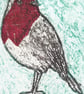 Robin One-Off Hand Pulled Collagraph Print with Red Chine Colle - Image 2