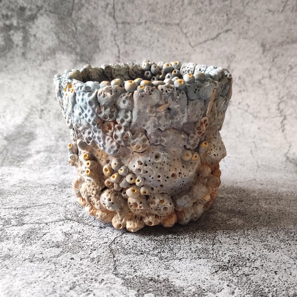 Barnacle Clay Pot, Encrusted Seaside Vase, Shipwreck Decor