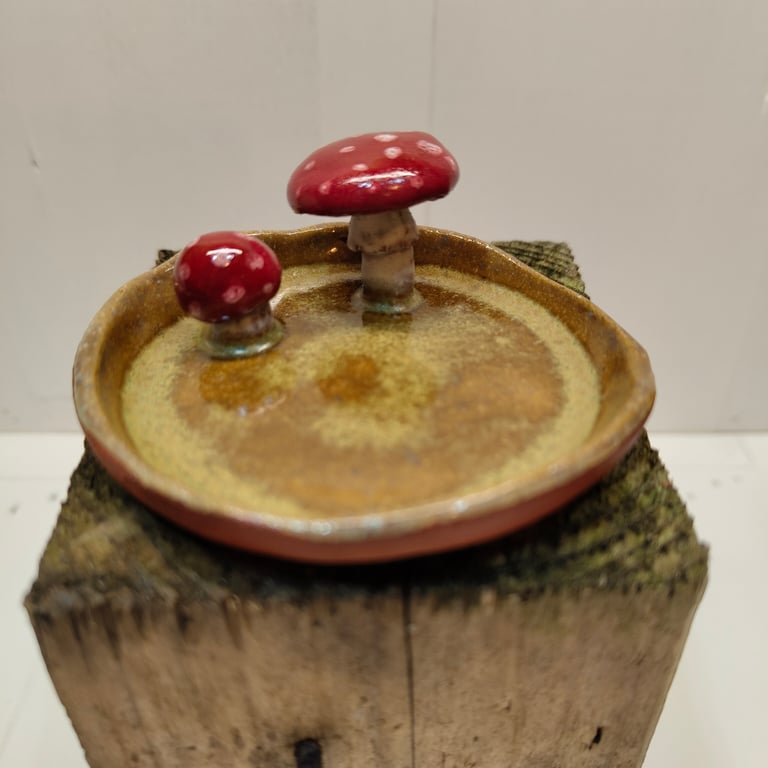 Little mushrooms dish