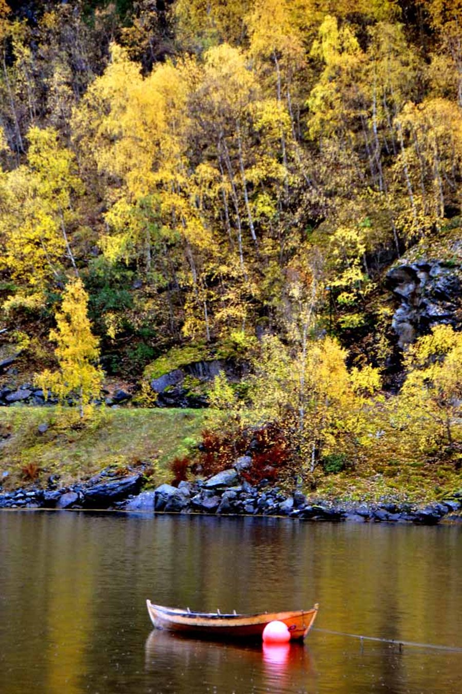 Flam Aurlandsfjord Norway Scandinavia 12"x18" Print