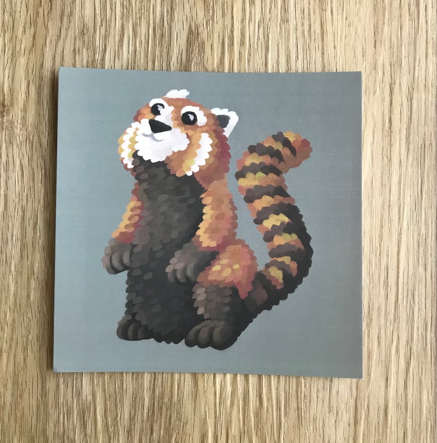 Red Panda Square Post Card Print