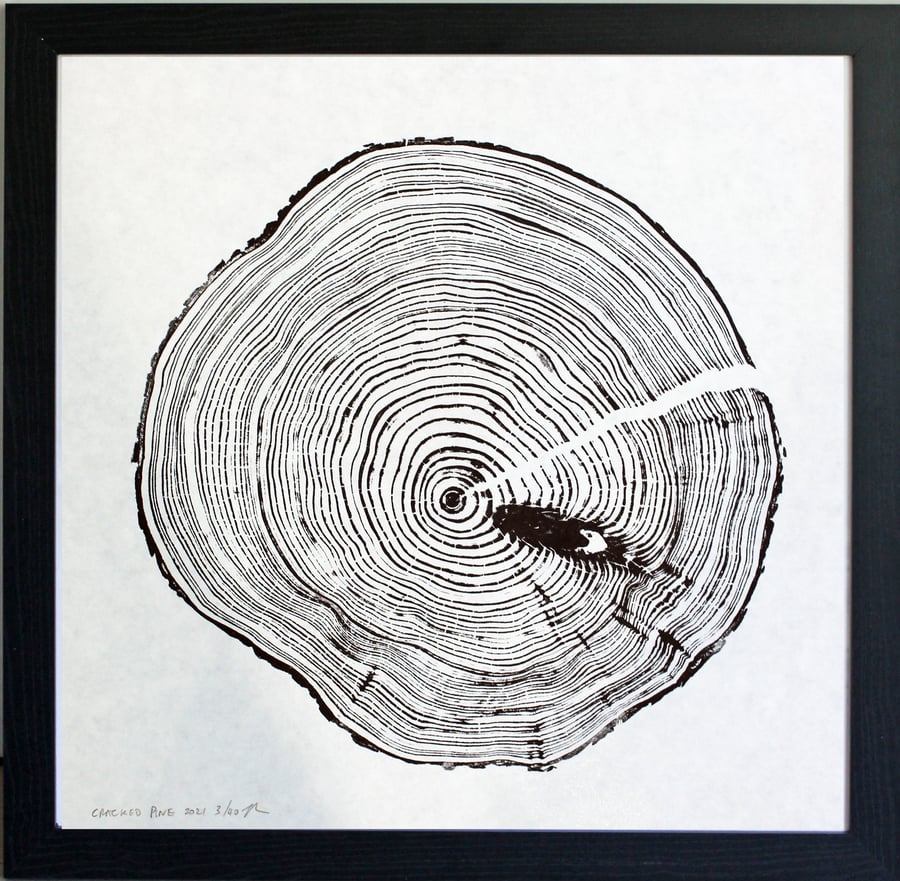 Cracked Pine Tree Ring Art Print 40cm diameter in black