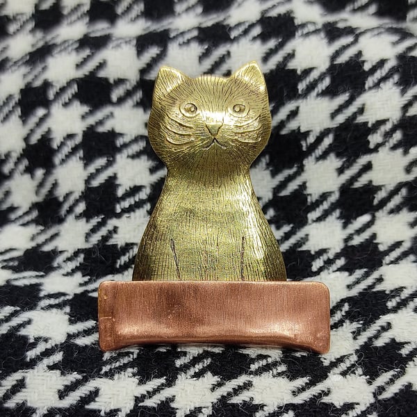 cat brooch, "if I fits...."