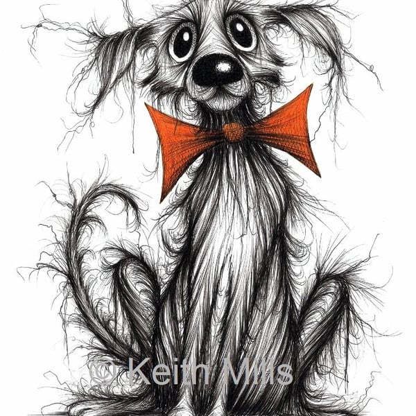 Bow tie Barry Print A4 size picture Very scruffy pet dog in need of love