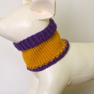 Hand Knitted Merino Wool Dog Snood - Neck Warmer for Dogs