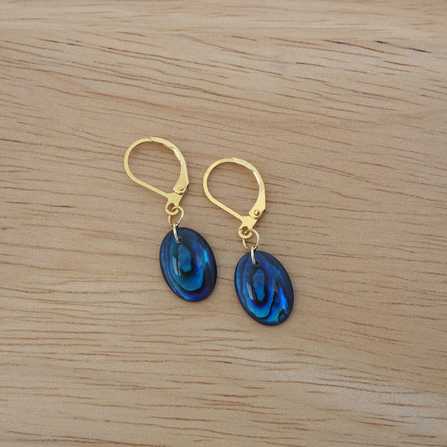 Paua shell earrings with gold plated leverbacks. Ref: 354
