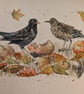 Apples for Breakfast (blackbirds eating windfall apples) an A4 or A3 print.  - Image 6