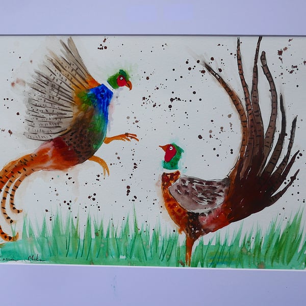 "Fighting Pheasants" A3 Mounted Watercolour 16" x 20" Mount
