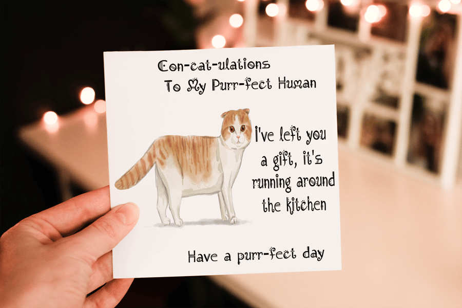 Scottish Fold Cat Birthday Card, Cat Birthday Card, Personalized Cat Breed Card