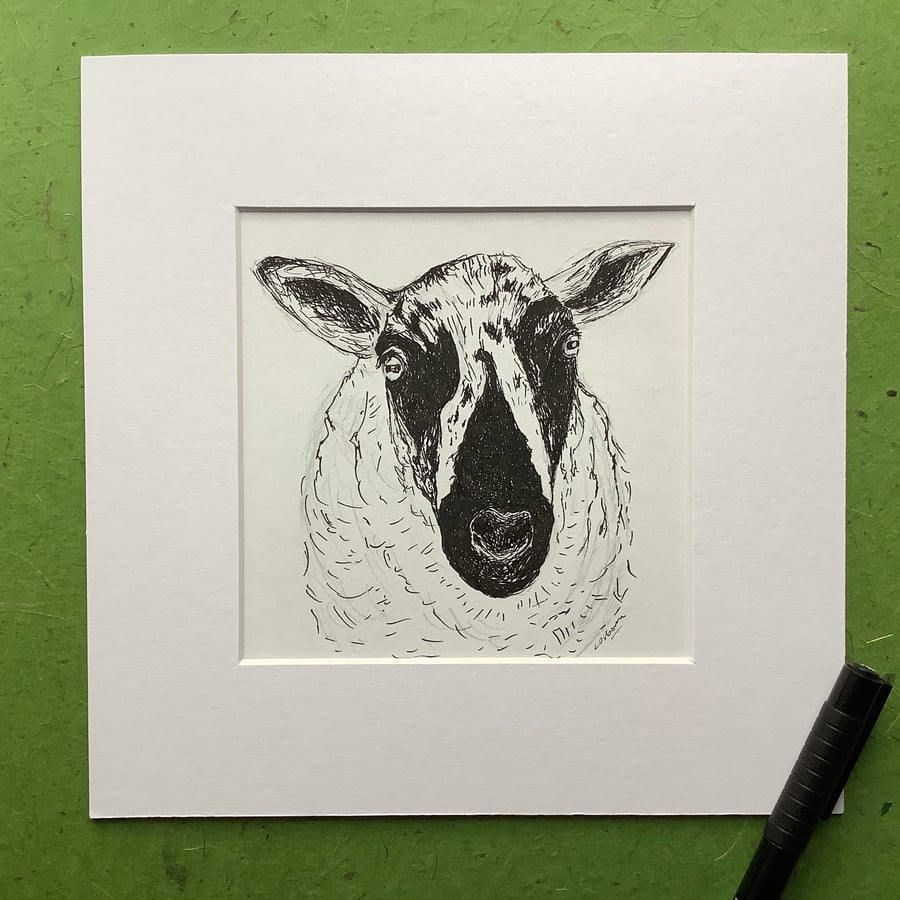 Speckled Face Sheep - pen and ink drawing. Farm animals.