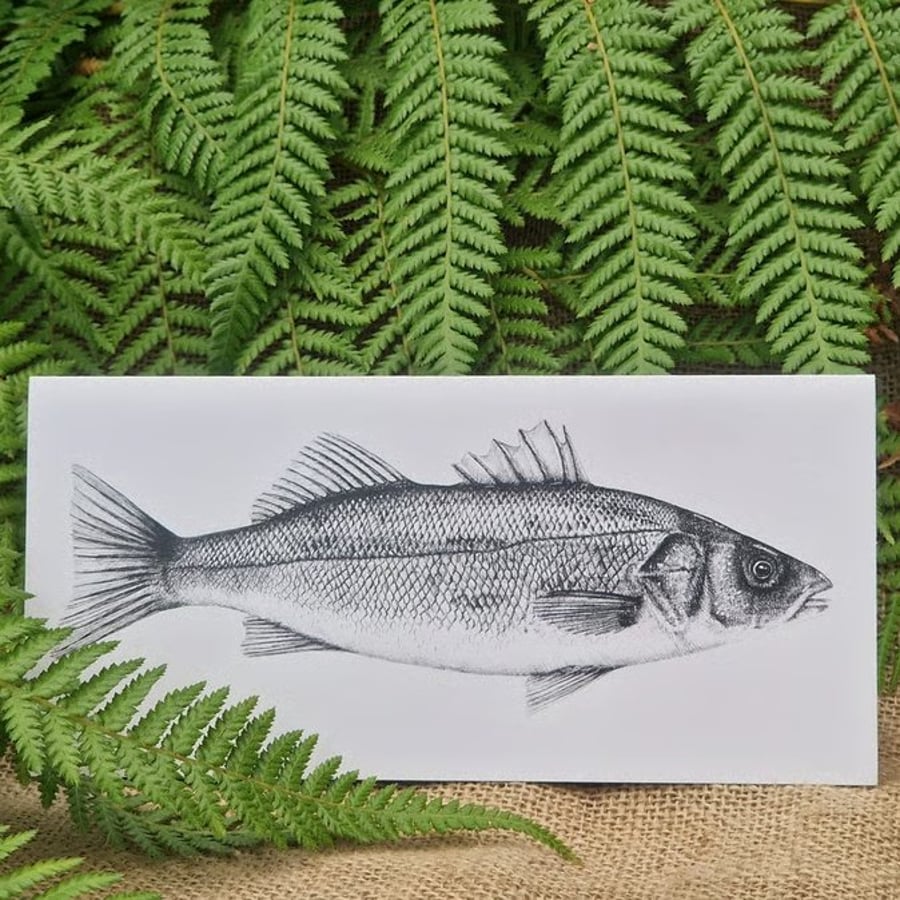 Image of Euroean Seabass card