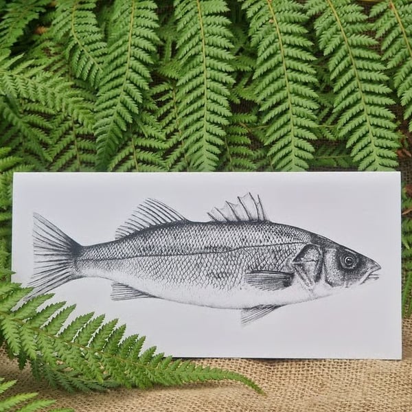Euroean Seabass card