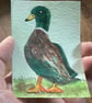 ACEO, Original Watercolour, Duck, 3.5 x 2.5, Trading Card Size.
